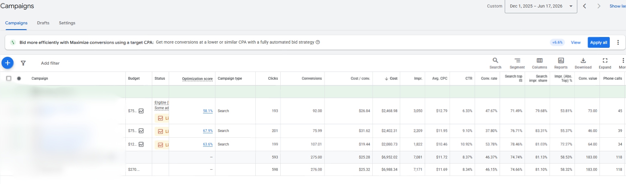 Animal Hospital: Campaign Detail anonymized advertising dashboard