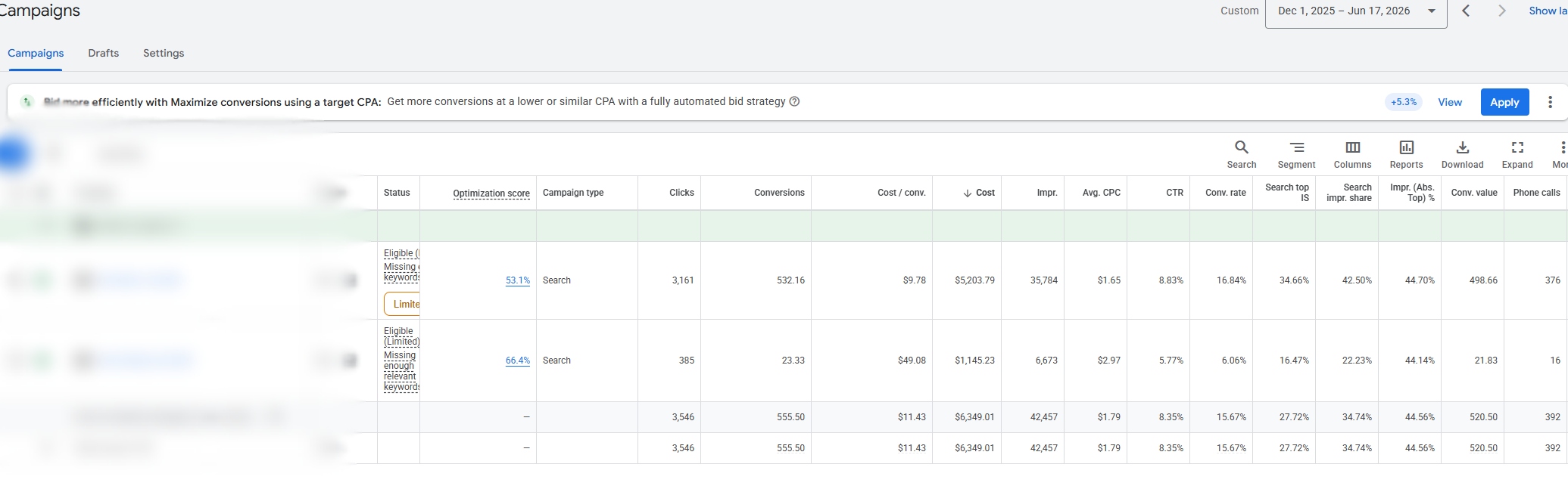 Salon & Spa: Campaign Detail anonymized advertising dashboard
